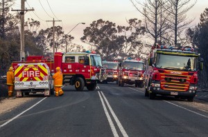 Crib Point Fire 2 031